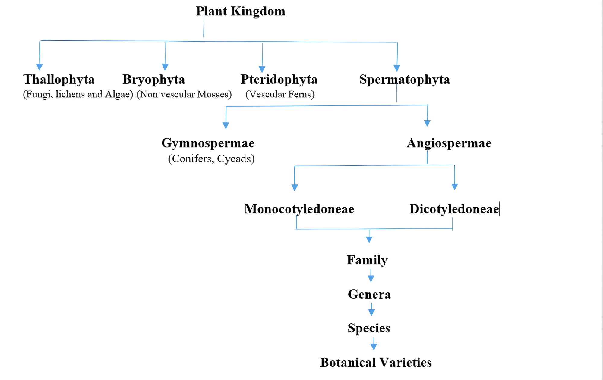 Classification of Plant Kingdom