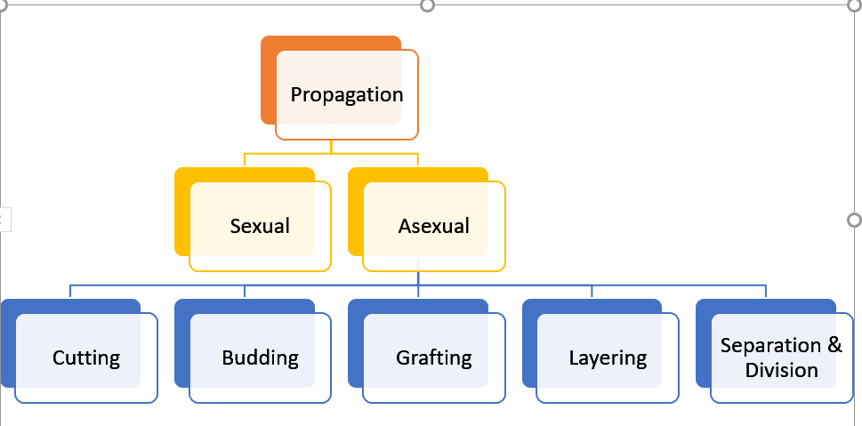 Types of Propagation