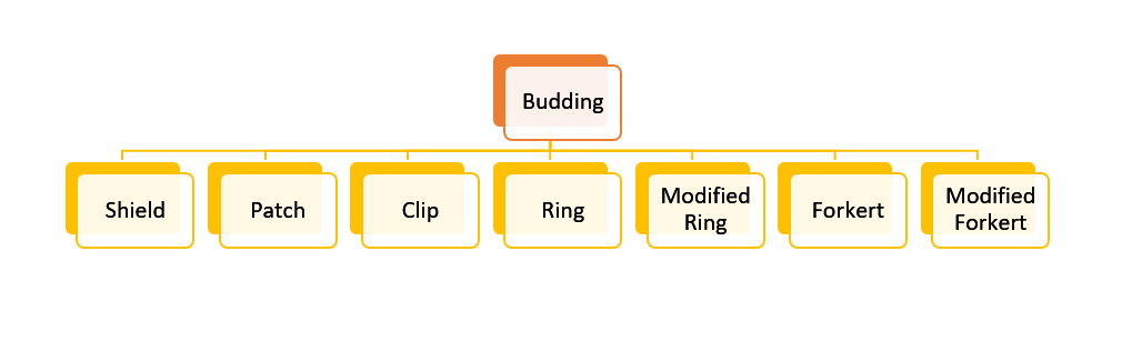 Types of Budding