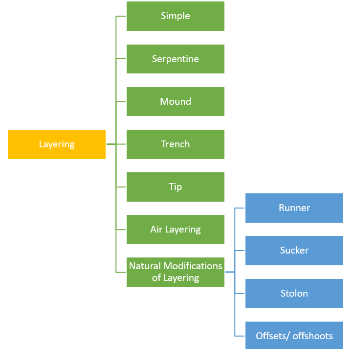 Types of Layering