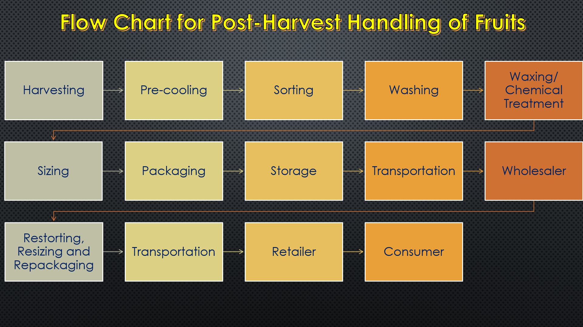 Flow Chart for Post-Harvest Handling of Fruits