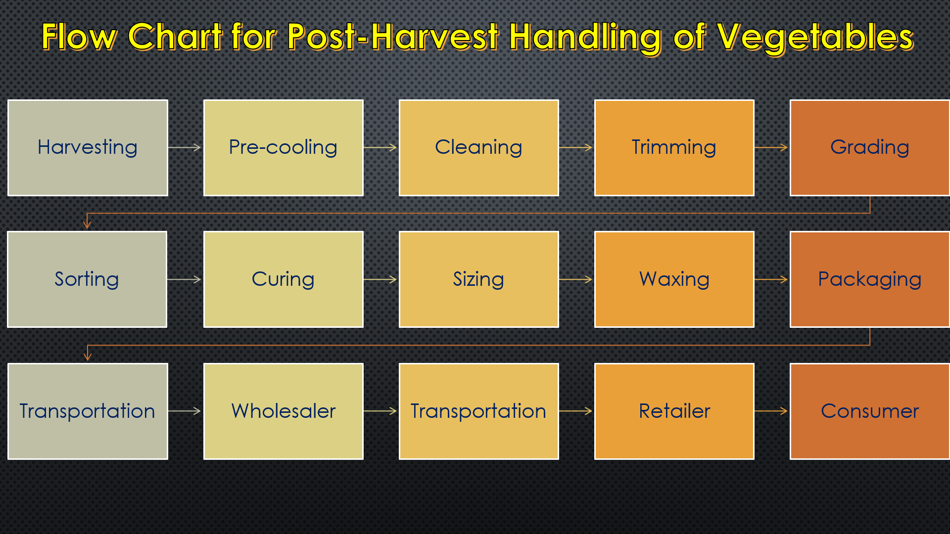 Flow Chart for Post-Harvest Handling of Vegetables