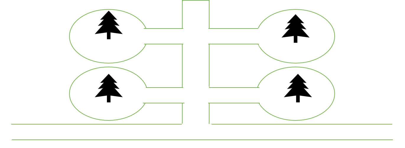 Ring Basin System of Irrigation