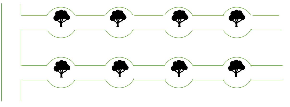 Basin System of Irrigation