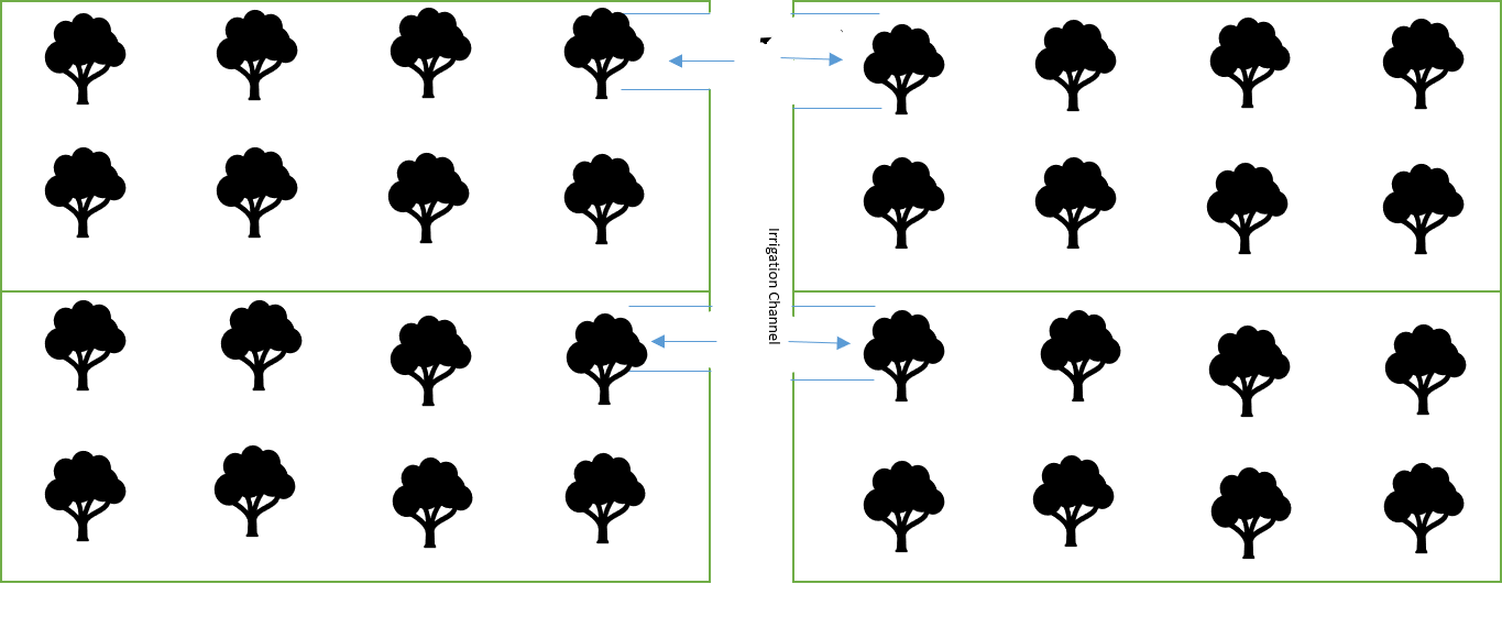 Check Basin System of Irrigation