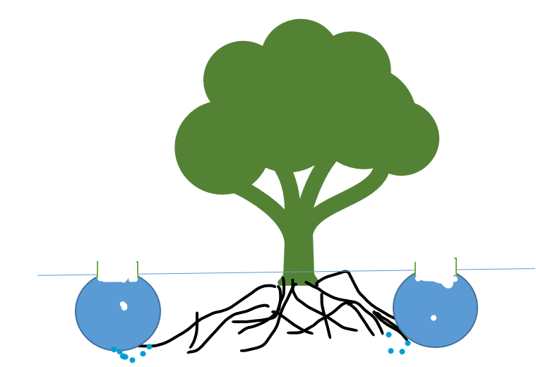 Pitcher System of Irrigation 