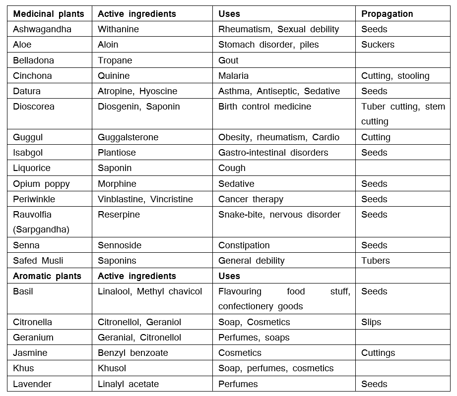 Important Medicinal and Aromatic Plants