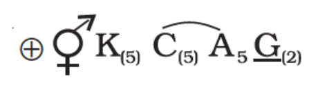 Floral Formula of Solanaceae Family