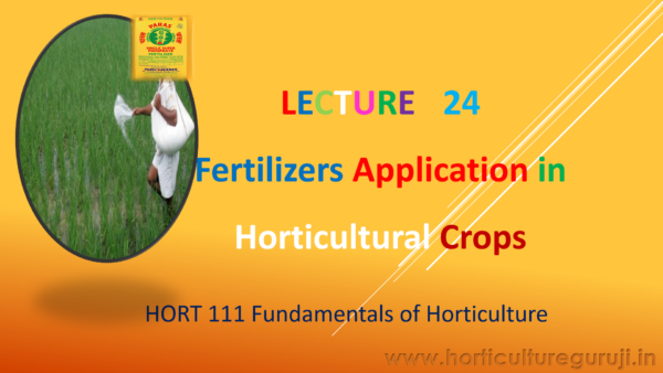 Fertilizer Application in Horticulture Crops PPT
