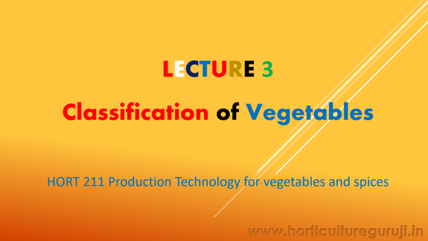 Classification of Vegetable Crops PPT
