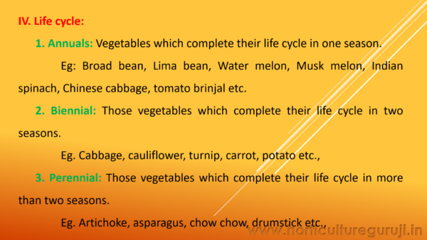 Classification of Vegetable Crops PPT - Image 4