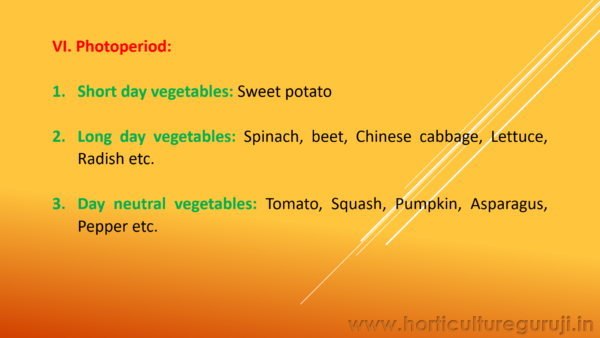 Classification of Vegetable Crops PPT - Image 5