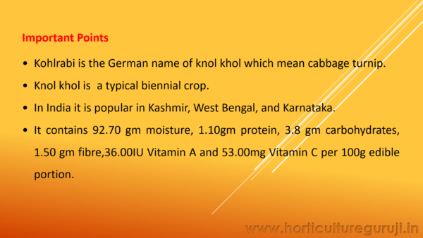 Knol Khol PPT - Image 2