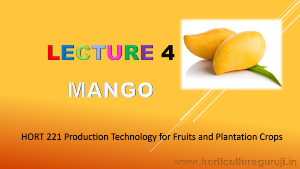 Mango Cultivation PPT