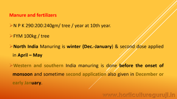 Sweet Orange Cultivation PPT - Image 5