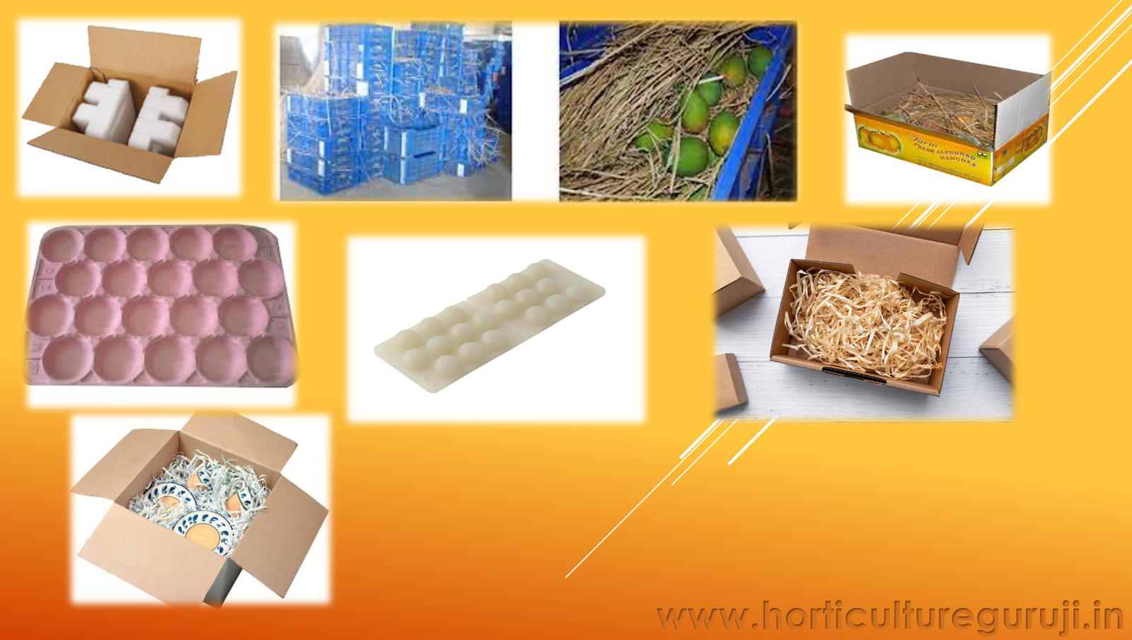 Cushioning Material For Packaging PPT - Horticulture Guruji