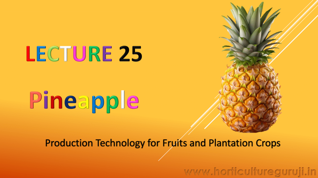 Pineapple Cultivation PPT