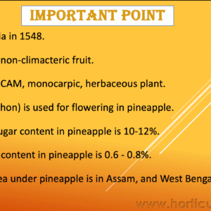 Pineapple Cultivation PPT