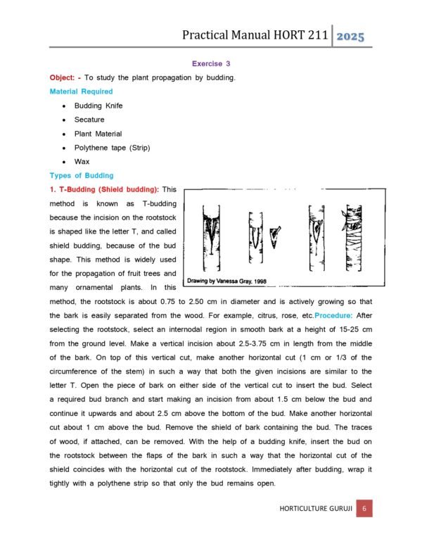 HORT 211 Production Technology For Fruits and Plantation Crops (Practical Manual) PDF and Docs - Image 4