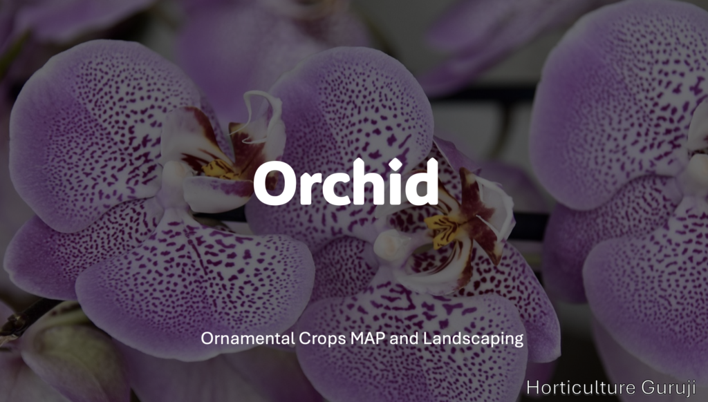 Orchid Cultivation PPT